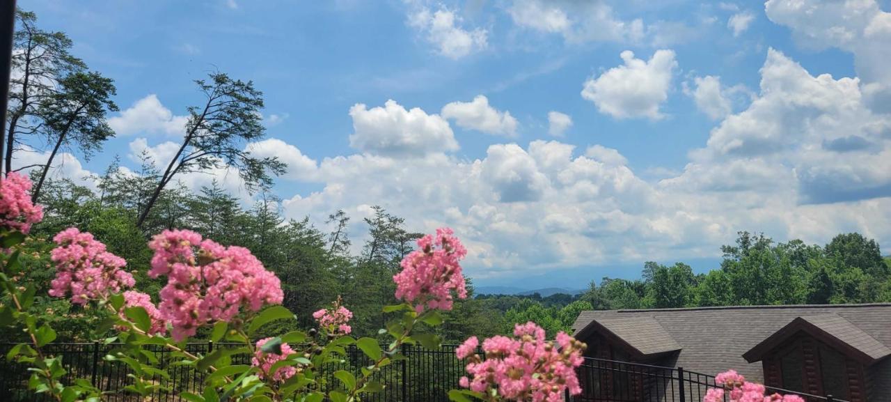 The Bear Paw Palace Mtn View And Community Pools Pigeon Forge Bagian luar foto